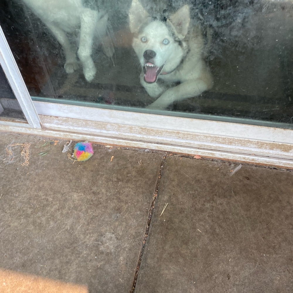 The items I sell are in new or near new condition unless otherwise noted.